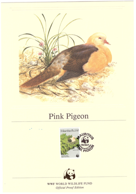 1985 2 Sep - pink pigeon offical proof_3